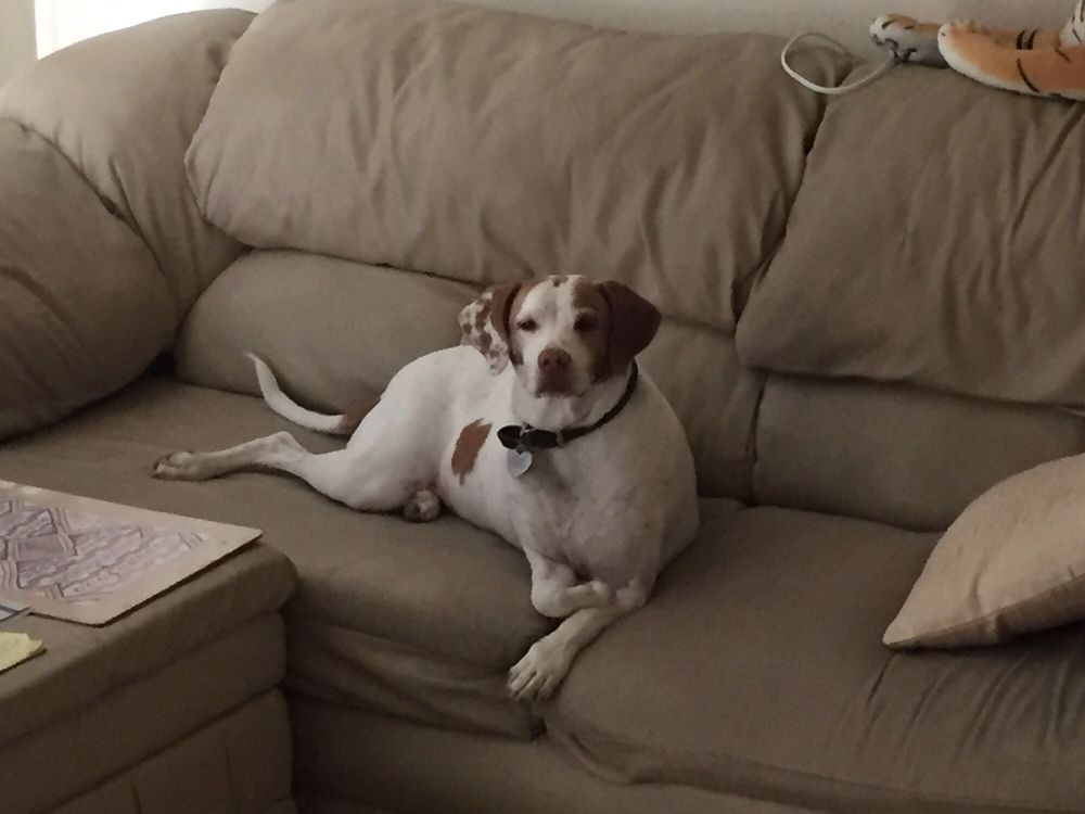 Danny R.'s profile image