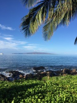 Gabriele F.'s profile image