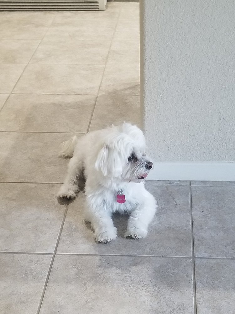 Alexandra P.'s profile image