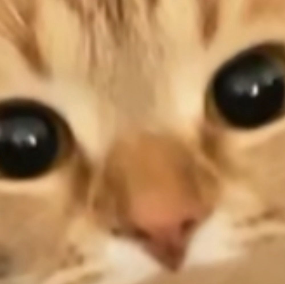 Nancy S.'s profile image