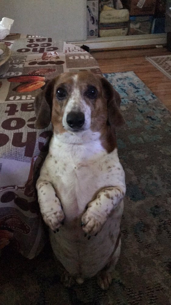 Benita C.'s profile image