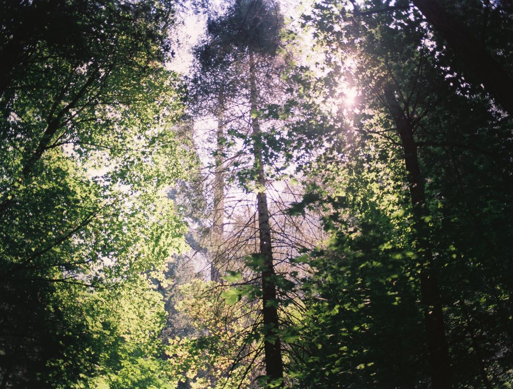 Crisp Y.'s profile image