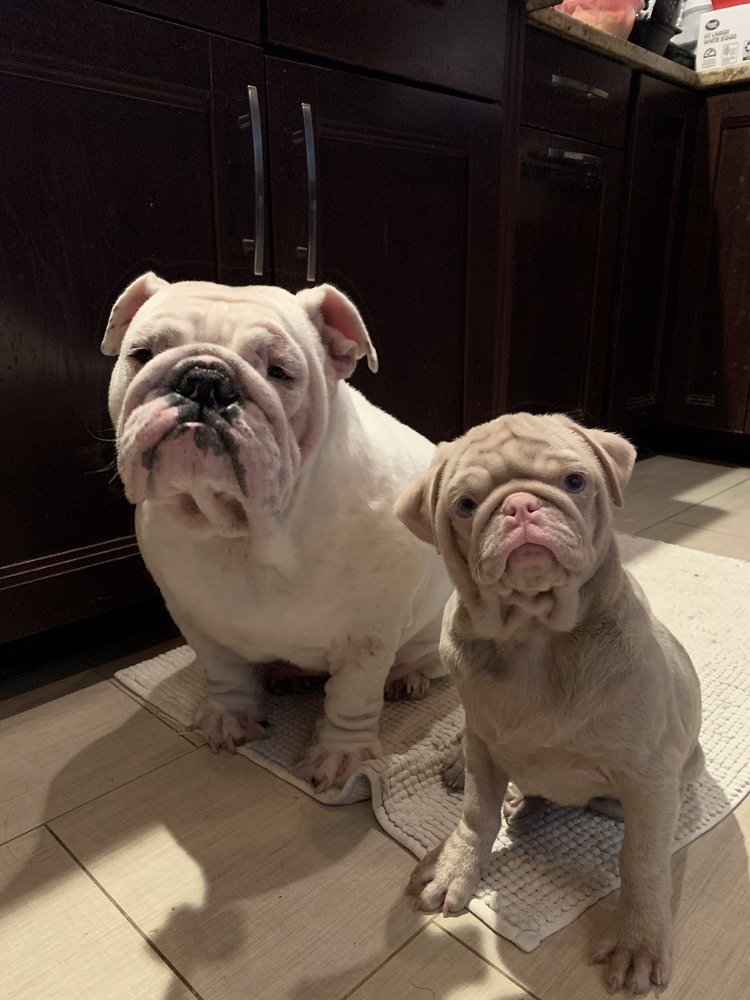 Kiamat D.'s profile image