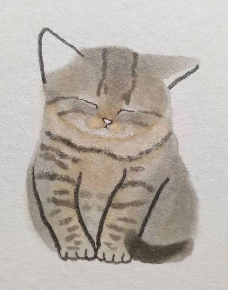 Nicole P.'s profile image