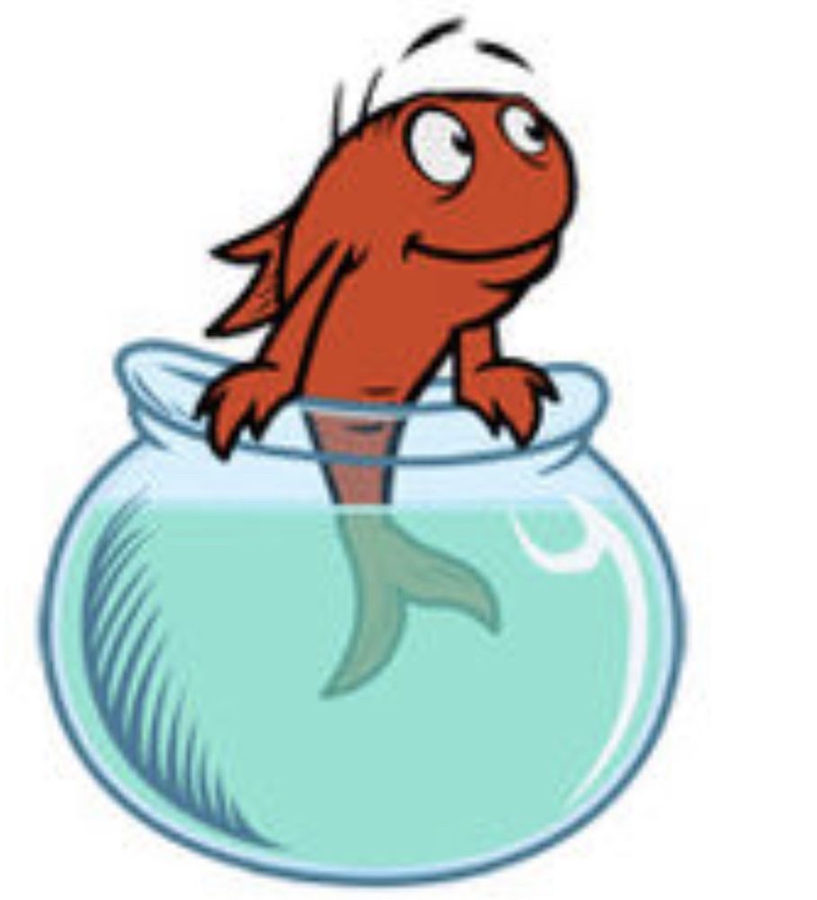 Krinklebein A.'s profile image