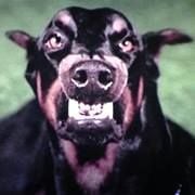 Eric S.'s profile image