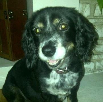 Angela P.'s profile image