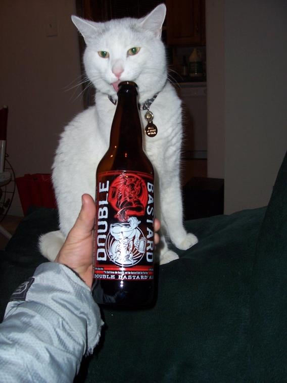 Arian S.'s profile image