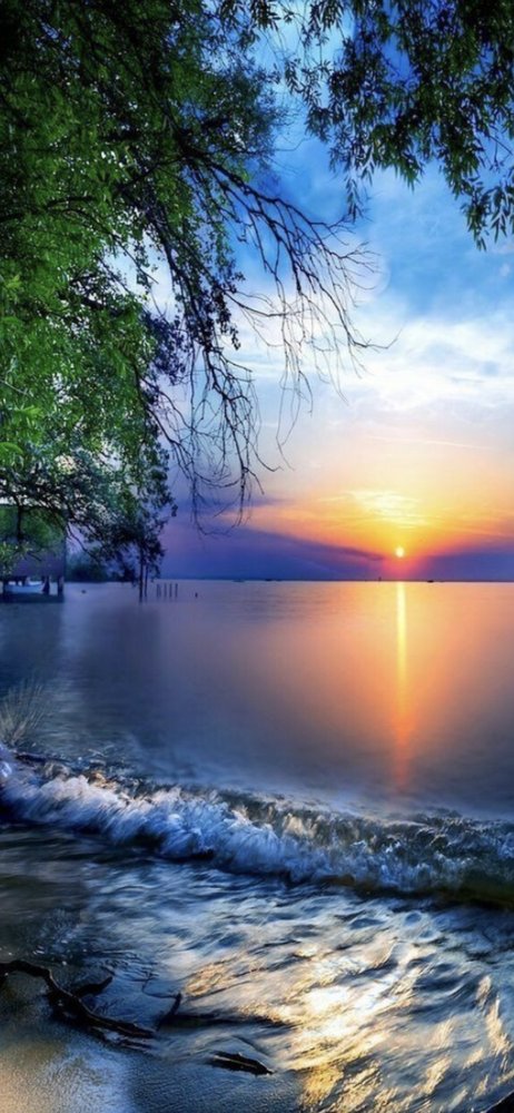 Hazem N.'s profile image