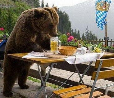 Brian E.'s profile image