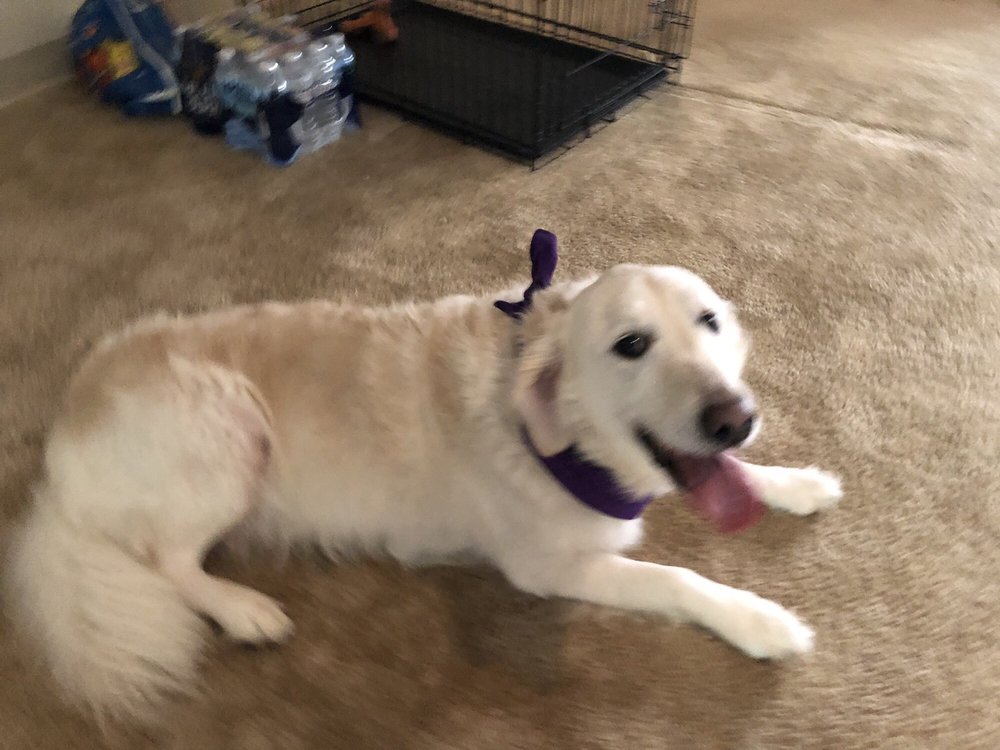 Rumours G.'s profile image