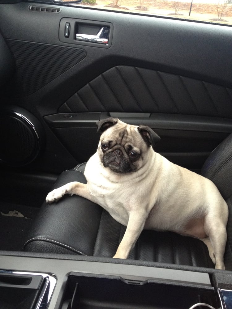 Brian S.'s profile image