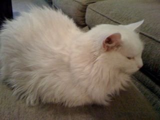 Matt B.'s profile image