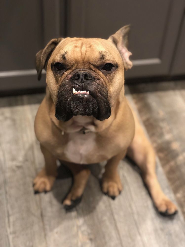 Kyle H.'s profile image