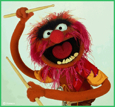 Steve L.'s profile image