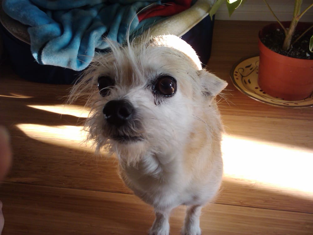 Vern S.'s profile image