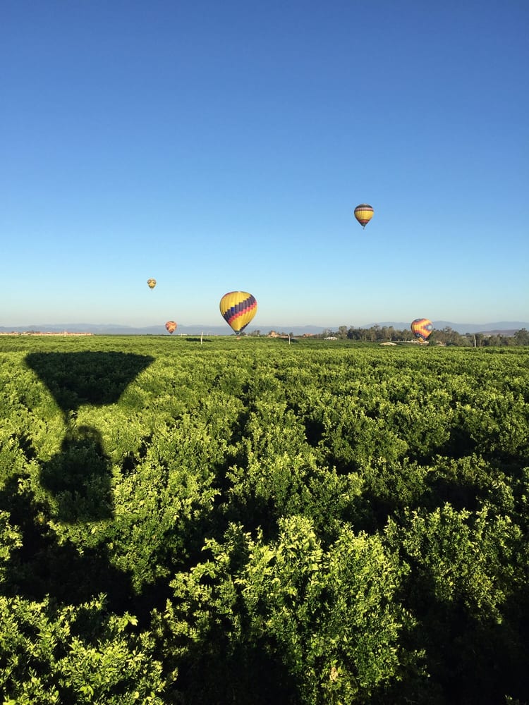 J D.'s profile image