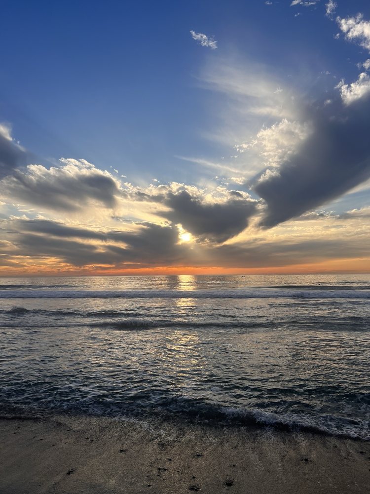 Jenny O.'s profile image