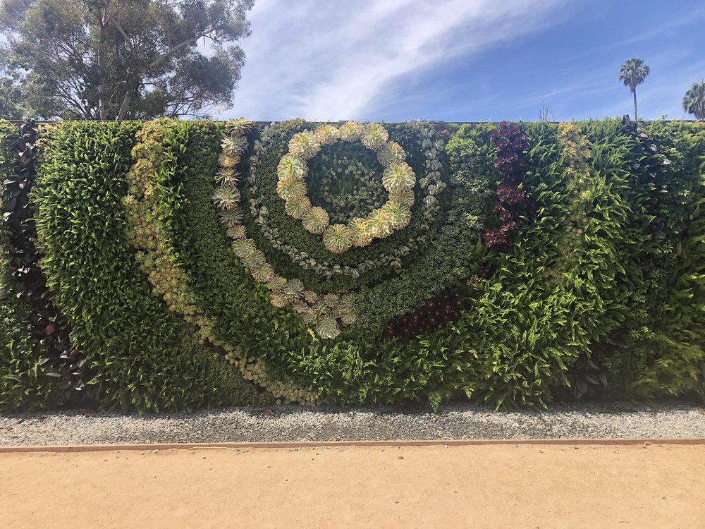 Carmen R.'s profile image