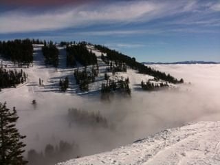 Denice G.'s profile image