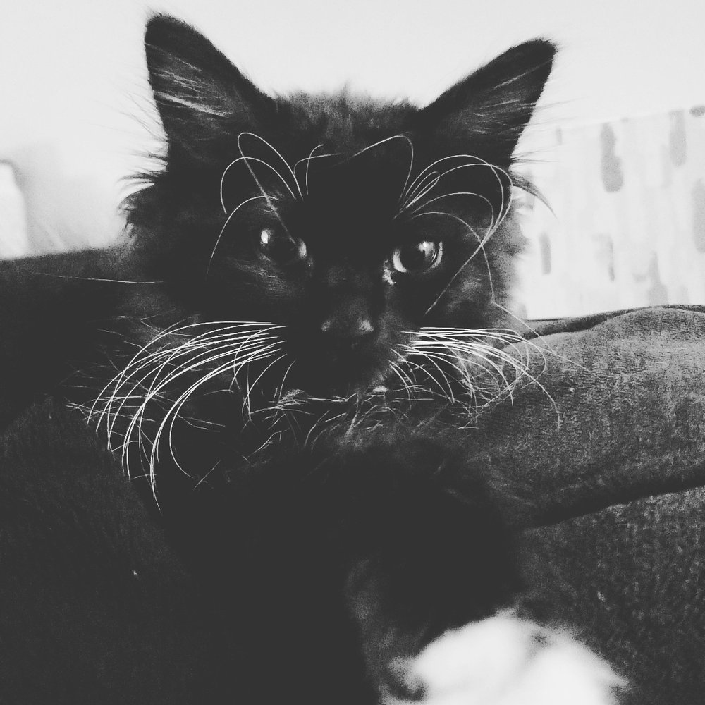 Jes G.'s profile image