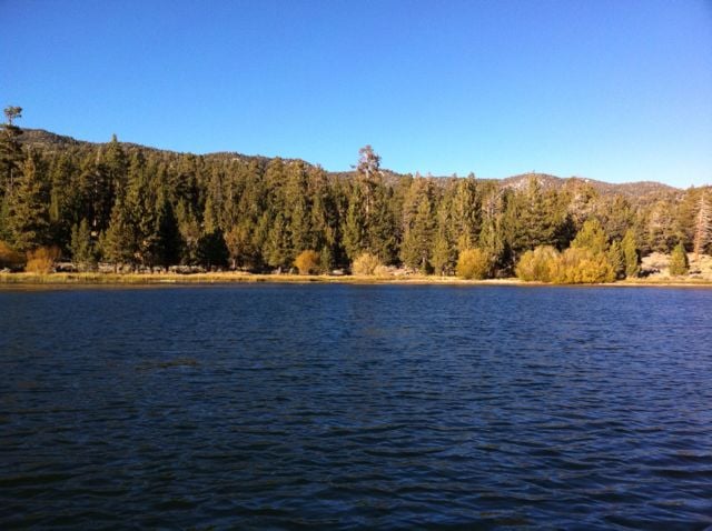 Lynn C.'s profile image