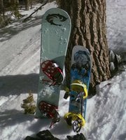 Mike N.'s profile image