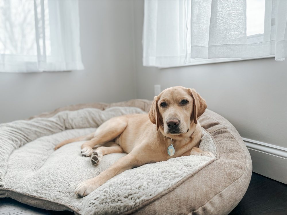 J C.'s profile image