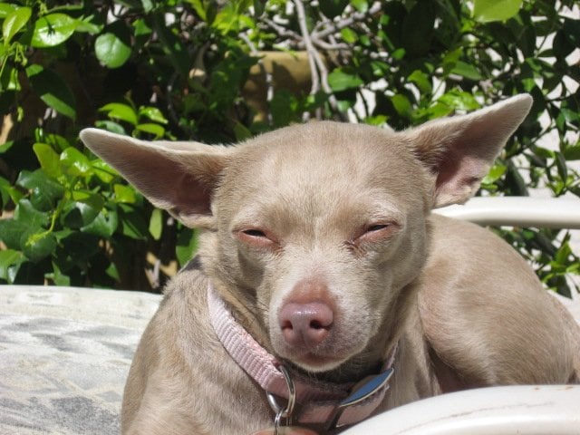 Jill M.'s profile image