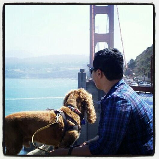 Jade S.'s profile image