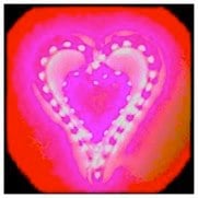 Jennifer B.'s profile image