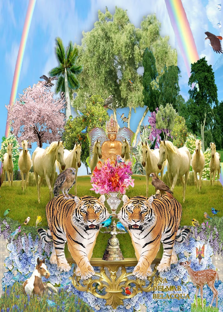 Ana B.'s profile image