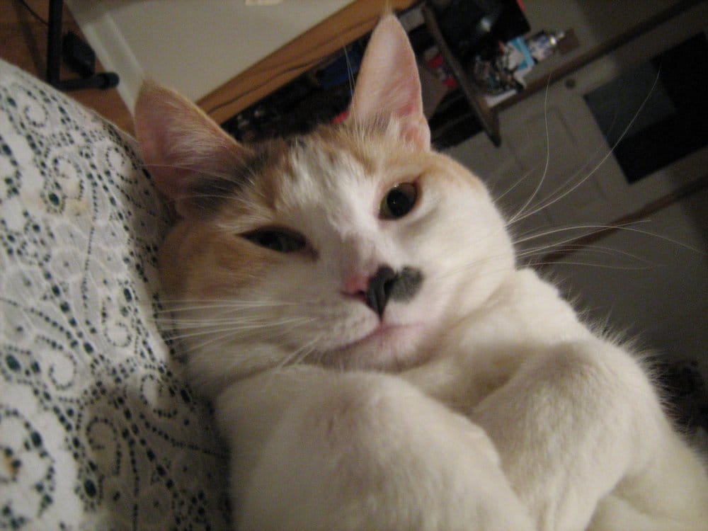 Lourdes B.'s profile image