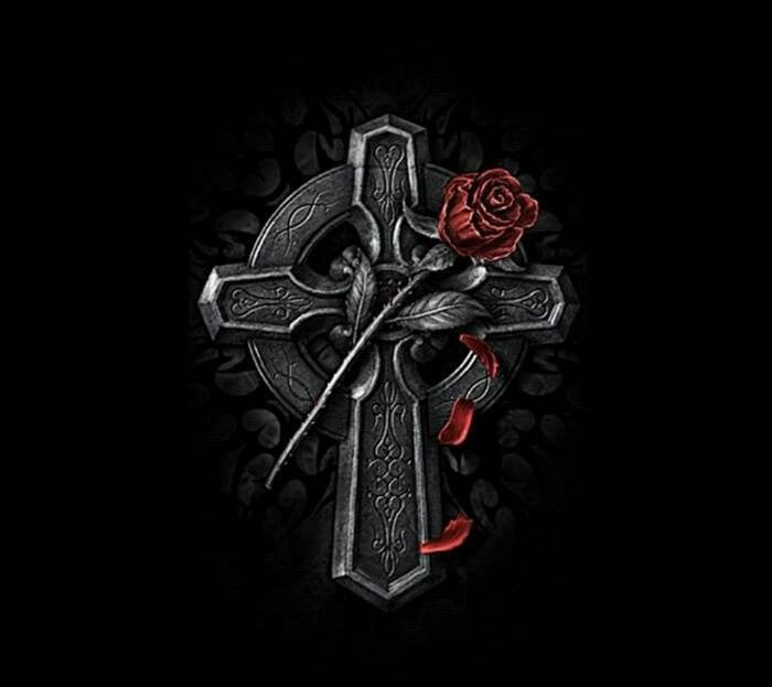 Antonise W.'s profile image