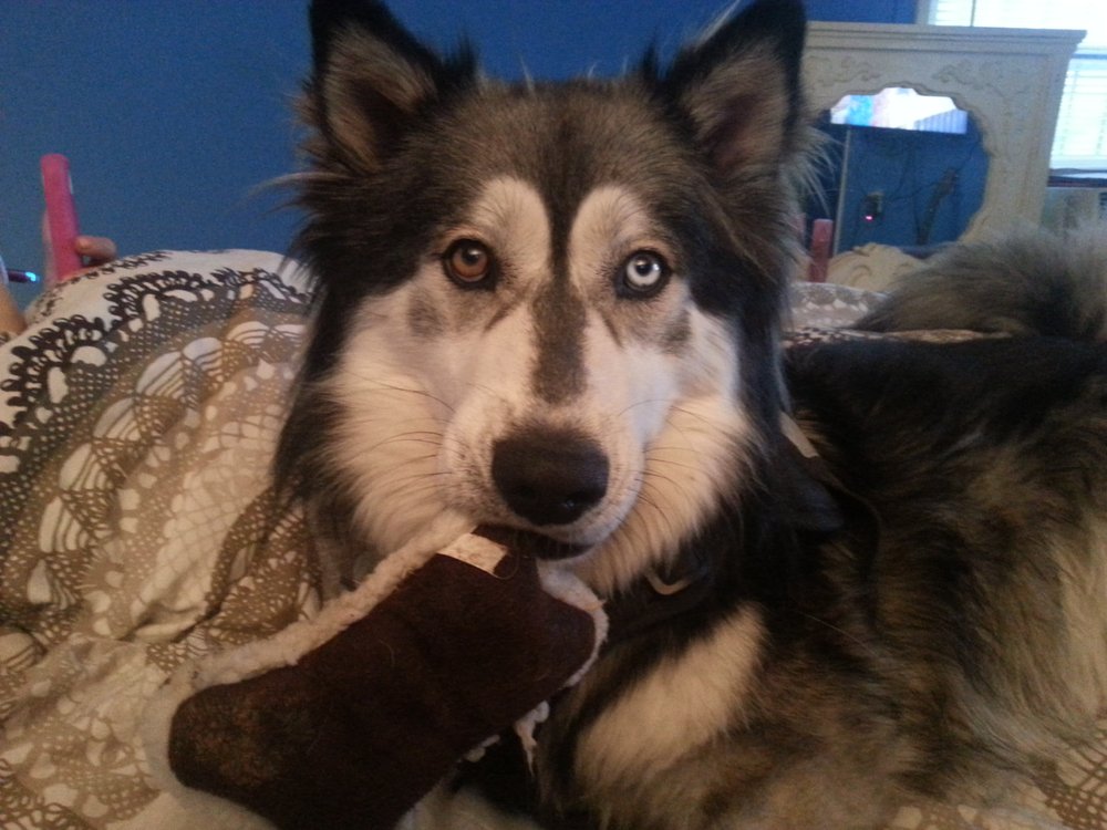 Alan P.'s profile image