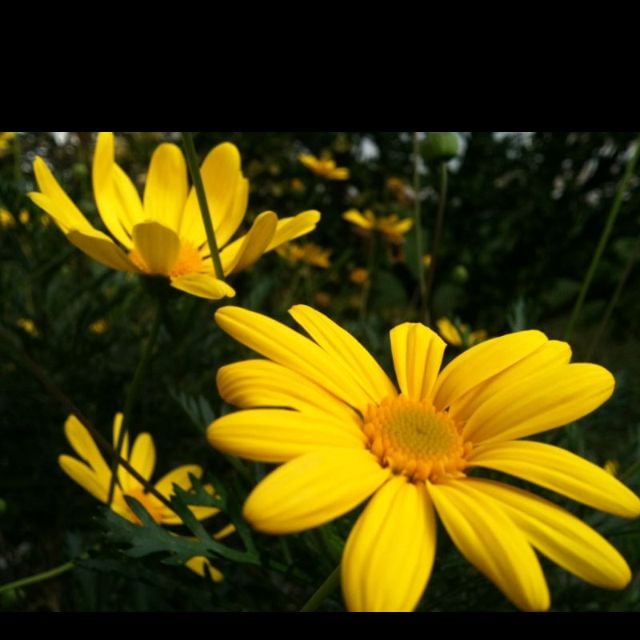 Steph R.'s profile image