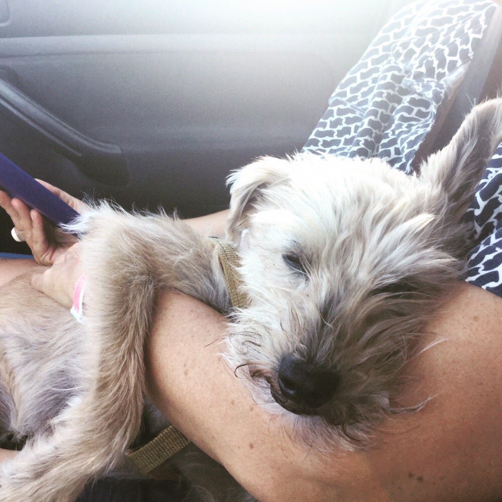 Gabriella C.'s profile image