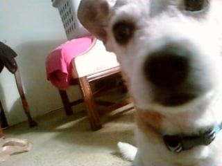 Rebecca L.'s profile image