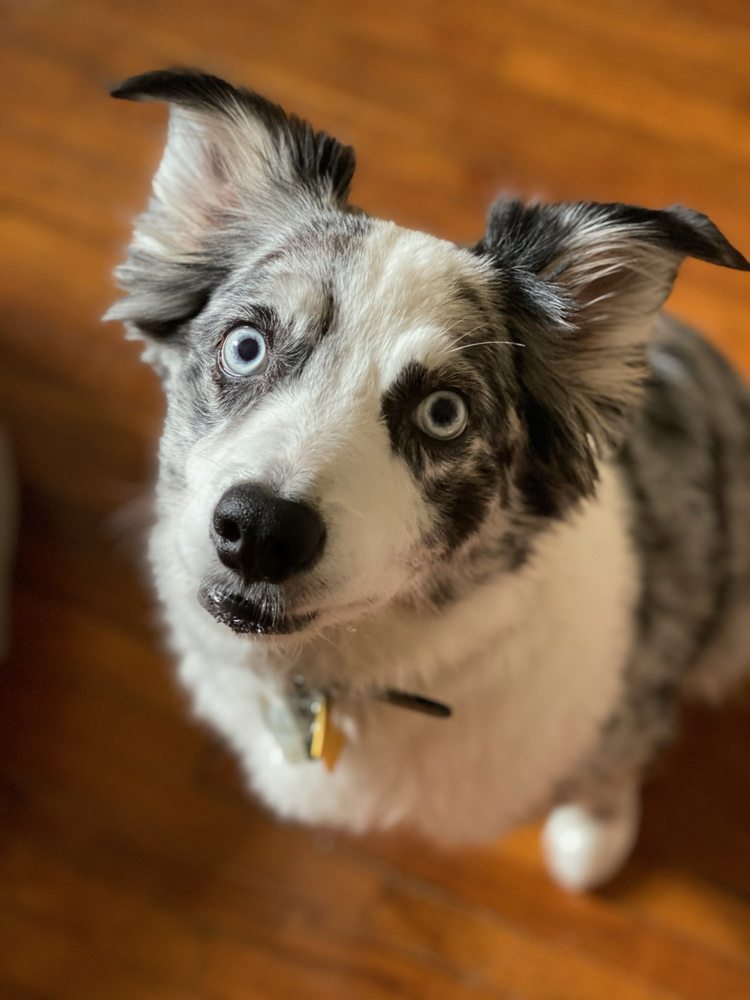 A D.'s profile image