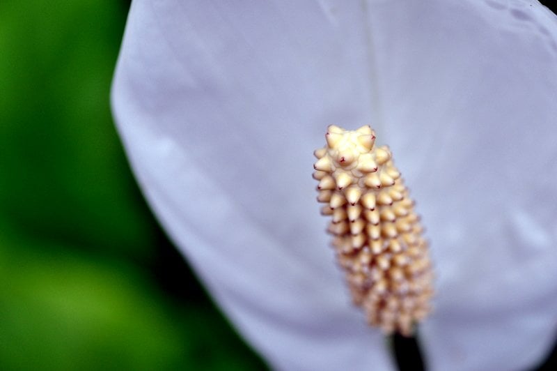 scott s.'s profile image