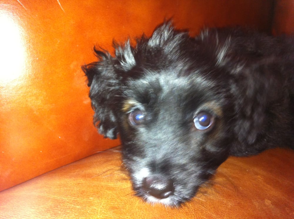 Lori B.'s profile image