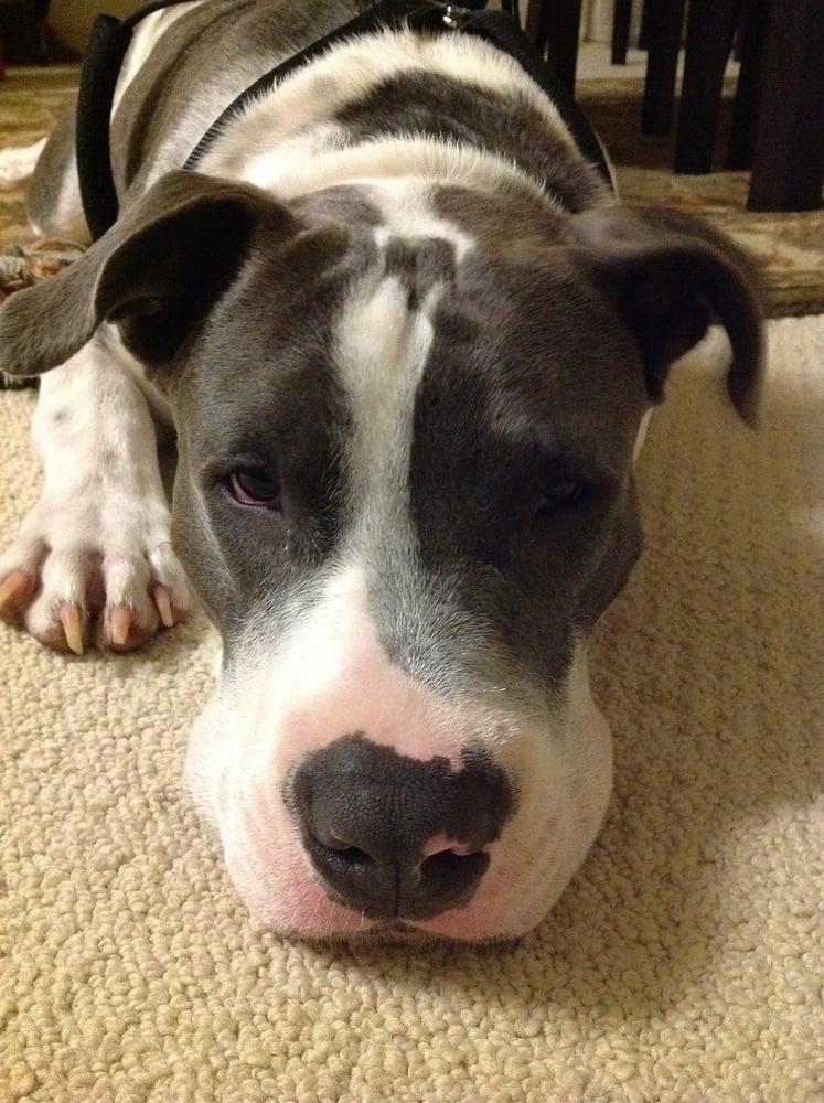 Jan T.'s profile image