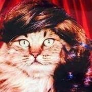 Grace R.'s profile image