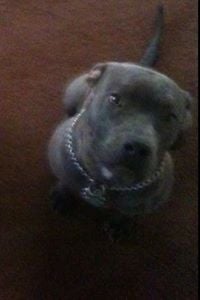 Minnie T.'s profile image