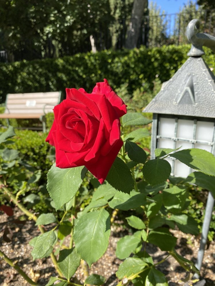 Natalia V.'s profile image