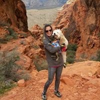 Stacy S.'s profile image