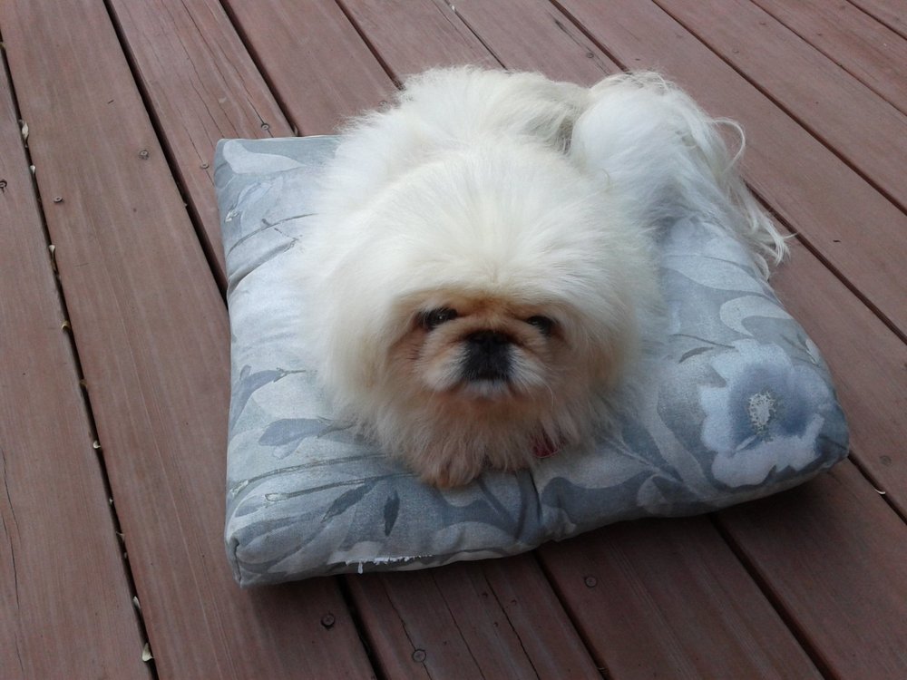 Joseph M.'s profile image