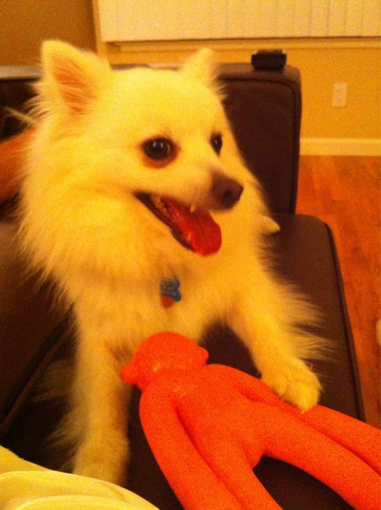 Trisha C.'s profile image