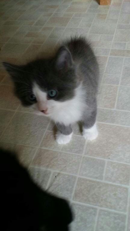 Cynthia A.'s profile image