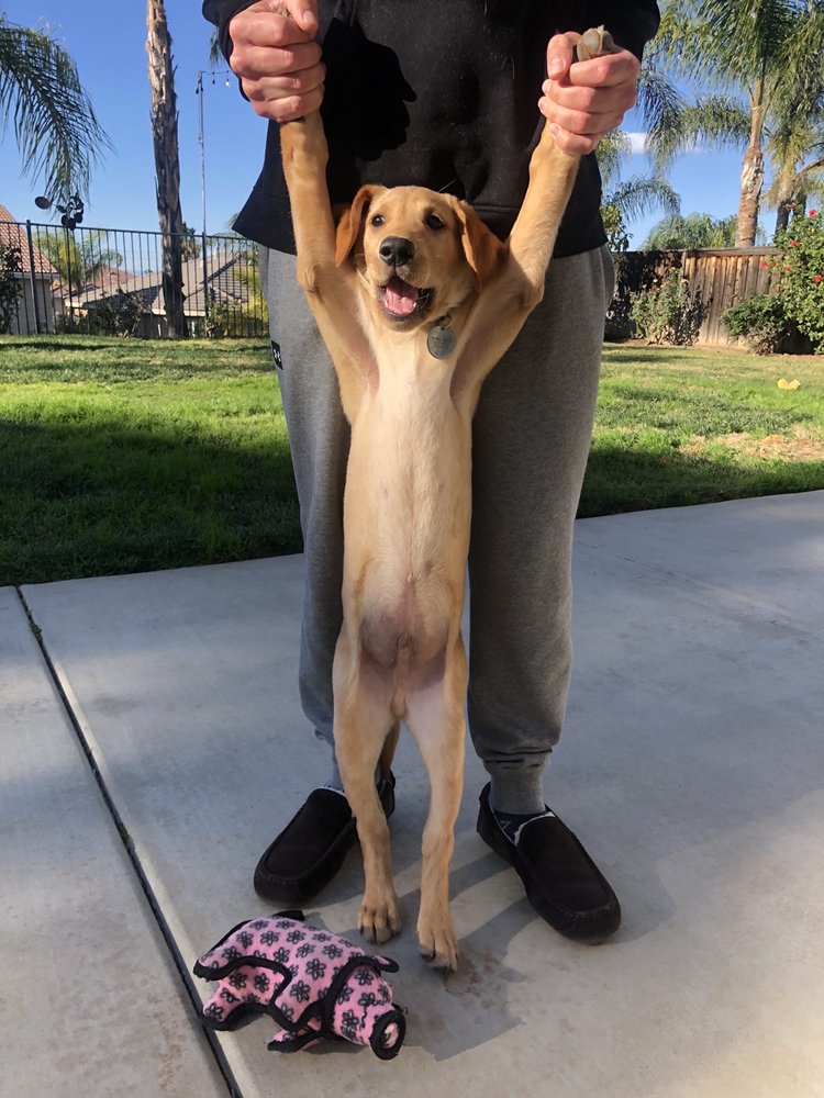 Katie B.'s profile image